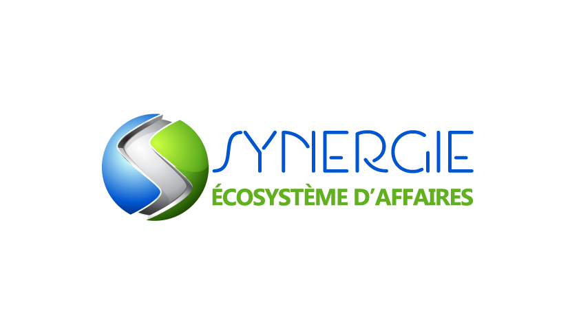 Synergie Technology School